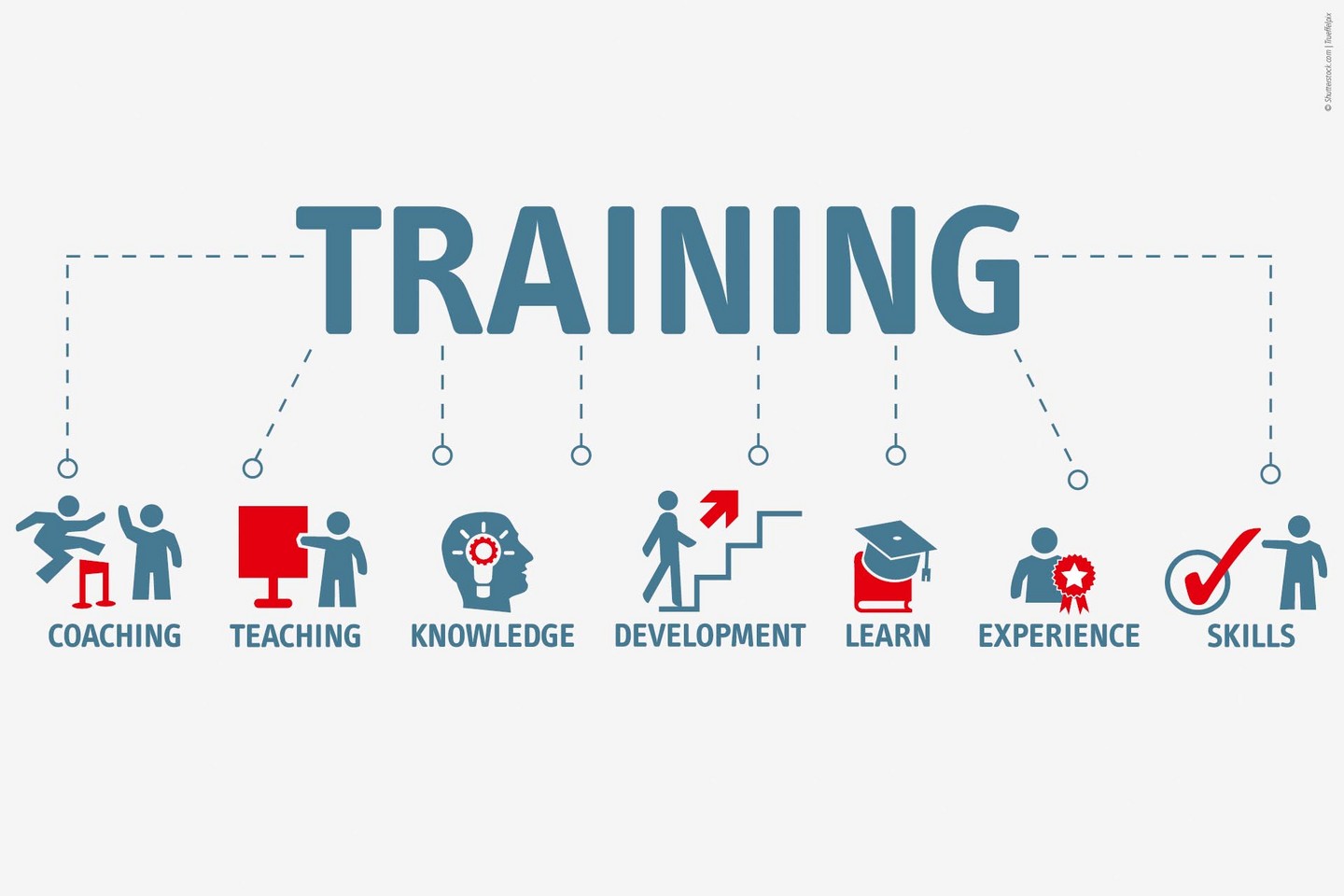 Our Further Education Offer